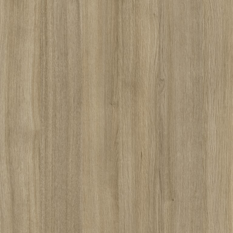 エマル5　コトリサマ The Chameleon | Tafisa